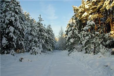 换个角度新体验 《幽灵行动：断点》第一人称MOD发布