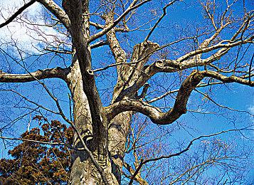 音乐节奏动作RPG《Unbeatable》预告 试玩版发布